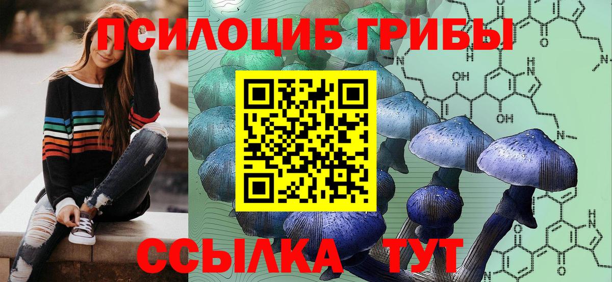 Галлюциногенные грибы прущие грибы  купить  цена  Мурманск  Псилоцибиновые грибы MAGIC MUSHROOMS  Вход с VPN 